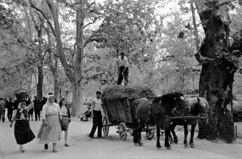 Zrinjevac 1948. godine (Foto Tošo Dabac)